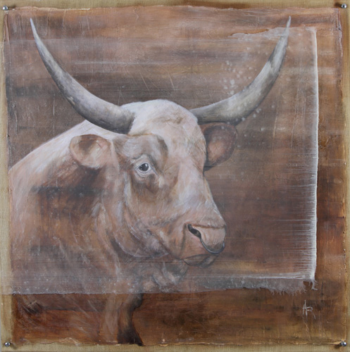 <h1>cattle</h1>oil on canvas/acrylic glass | 120 x 120